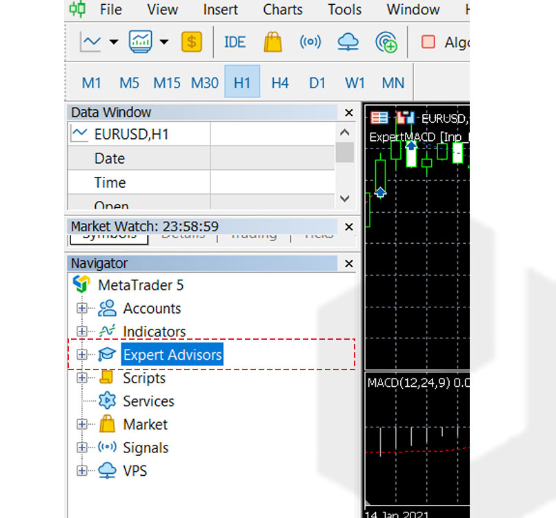 expand-expert-advisor-mt4-mt5