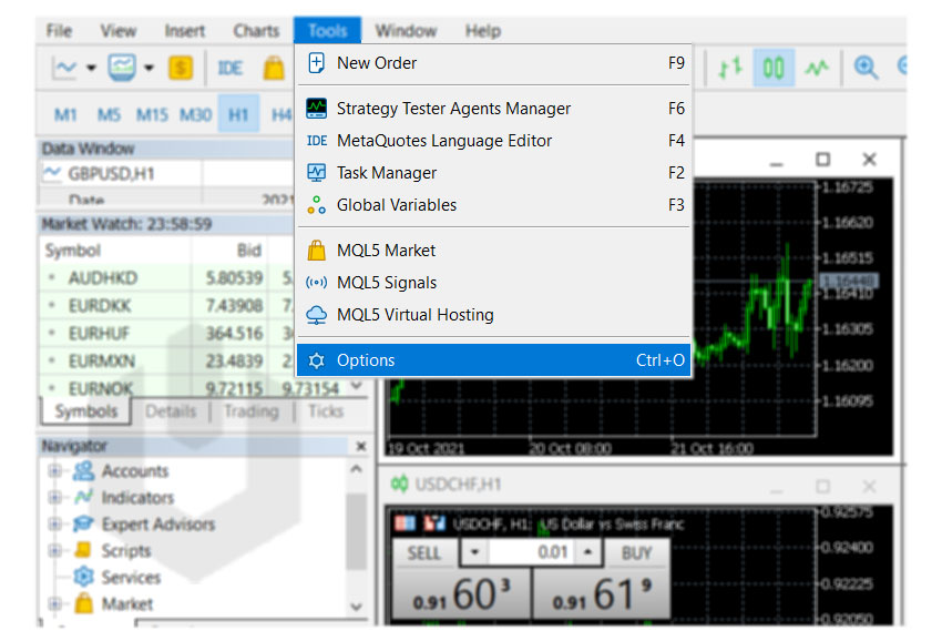 navigate-to-options-meta-trader