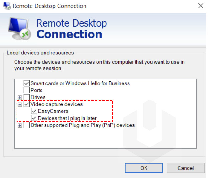 check webcam devices remote desktop services