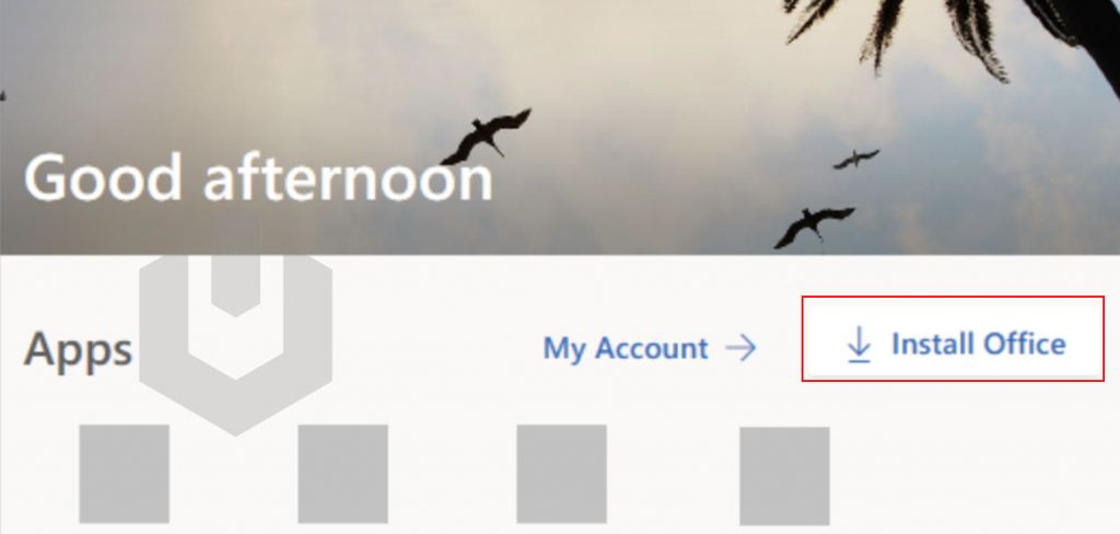 install office from microsoft homepage